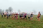 Under-13  girls NEHL, Aykley Heads, Durham. Photo: David T. Hewitson/Sports for All Pics